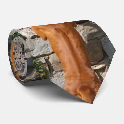 rhodesian ridgeback standing.png ネクタイ (ロール)