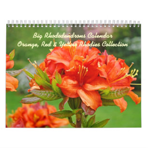 Rhodies Caleandarsのシャクナゲの赤いオレンジ黄色 カレンダー