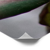 Rhododendron ポスター (角)