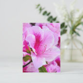 Rhododendron Hirado Azarea ポストカード (スタンド正面)