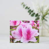 Rhododendron Hirado Azarea ポストカード (スタンド正面)