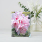 Rhododendron 'Hydon Down' ポストカード (スタンド正面)