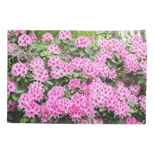 Rhododendron rosa 枕カバー (裏面)