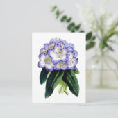 Rhododendron Vintage Botanical Postcard ポストカード (スタンド正面)