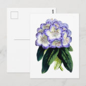 Rhododendron Vintage Botanical Postcard ポストカード (正面/裏面)