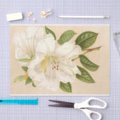 Rhododendrumセステリアヌム、デコページ 薄葉紙 (クラフト)