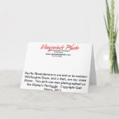 Rhodyピンクのカード カード (裏面)