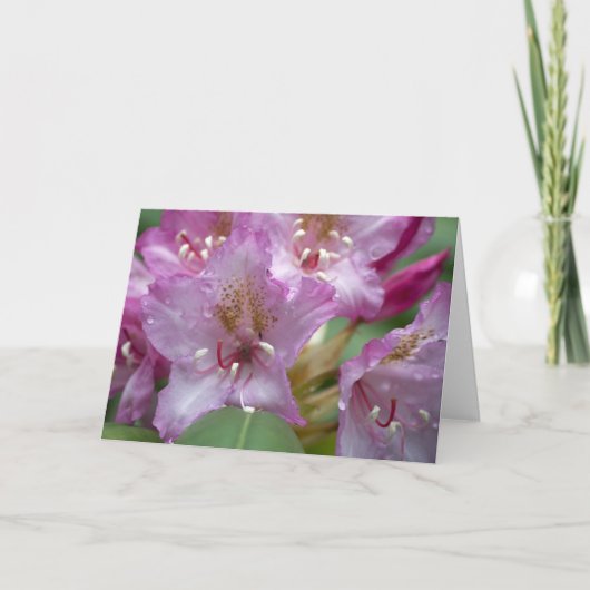 Rhodyピンクのカード カード (正面)