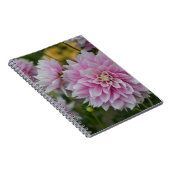 RHSガーデンウィズリーでピンクのダリア花 ノートブック (右側)