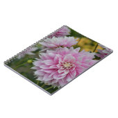 RHSガーデンウィズリーでピンクのダリア花 ノートブック (左側)