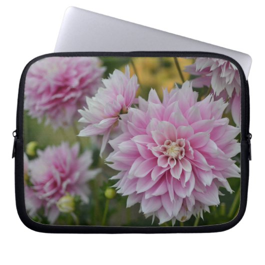 RHSガーデンウィズリーでピンクのダリア花 ラップトップスリーブ (正面)