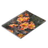 RHSガーデンウィズリーでペルーのユリの花 ノートブック (左側)