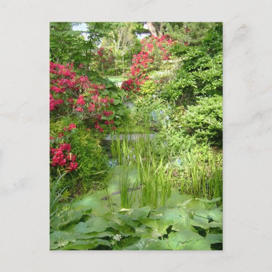 RIガーデンポストカード ポストカード (正面)