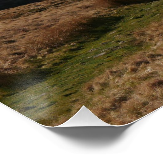 Riblehead Viaductポスター ポスター (コーナー)