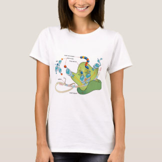 Ribosome mRNA tRNA molecules proteins Diagram  Tシャツ