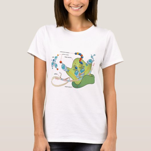 Ribosome mRNA tRNA molecules proteins Diagram  Tシャツ (正面)