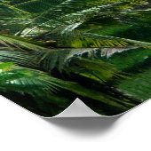 Rice Fields Bali Indonesia ポスター (角)