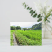 Rice paddy field landscape ポストカード (スタンド正面)