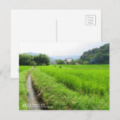 Rice paddy field landscape ポストカード (正面/裏面)