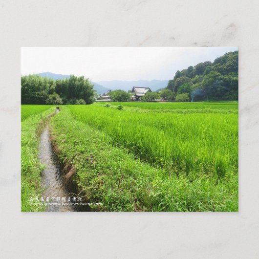 Rice paddy field landscape ポストカード (正面)