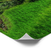 Rice terraces Chiang Mai, thailand ポスター (角)