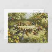 Richard DoyleによるFairyland PostCardでのリハーサル ポストカード (正面/裏面)