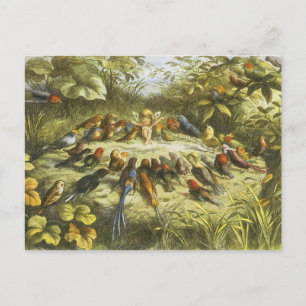 Richard DoyleによるFairyland PostCardでのリハーサル ポストカード