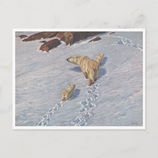 Richard Friese、Polar Bear Family Postages ポストカード (正面)