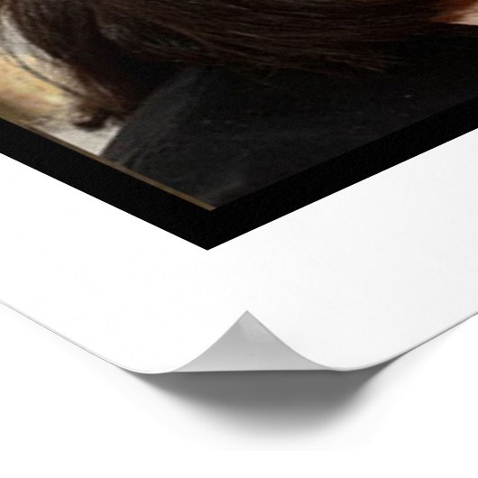 Richard III and Leicester Cathedral flags ポスター (角)