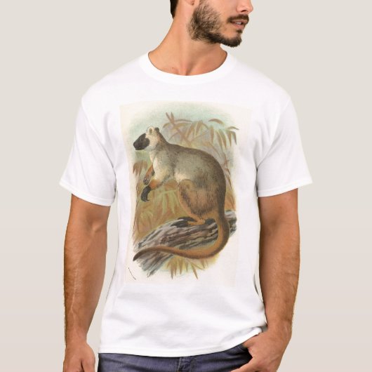 Richard Lydekker – クイーンズランドツリー – カンガルー Tシャツ (正面)