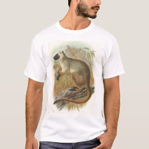 Richard Lydekker - Quensland Tree-Kangaroo氏 Tシャツ