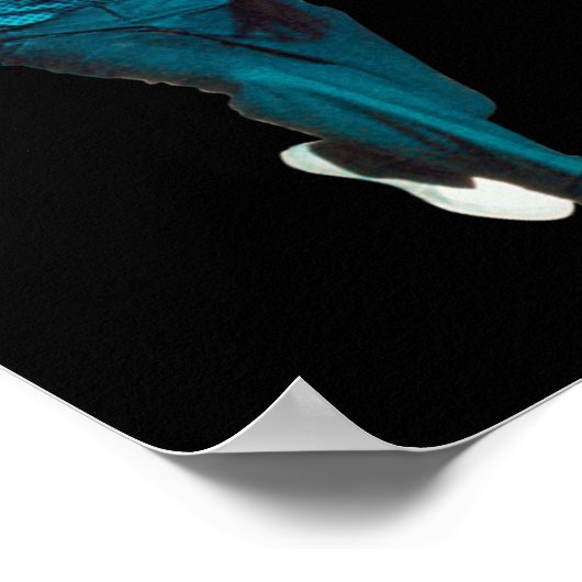 Richard Nixon Bowling  ポスター (角)