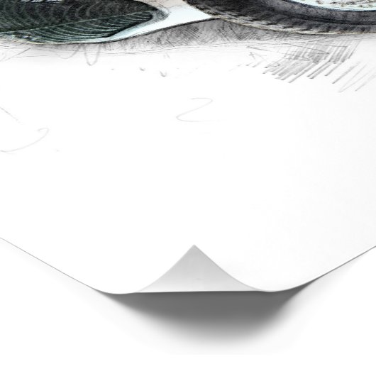 Richard Seaman ポスター (コーナー)