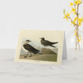 Richardson's Jager from Audubon's Birds of America カード (黄色い花)