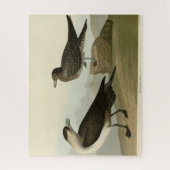 Richardson's Jager from Audubon's Birds of America ジグソーパズル (縦)