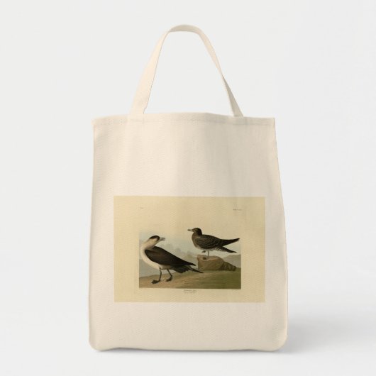 Richardson's Jager from Audubon's Birds of America トートバッグ (正面)