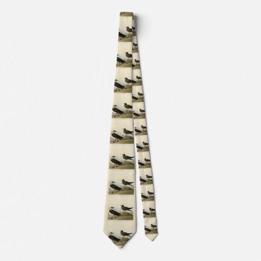 Richardson's Jager from Audubon's Birds of America ネクタイ (正面)