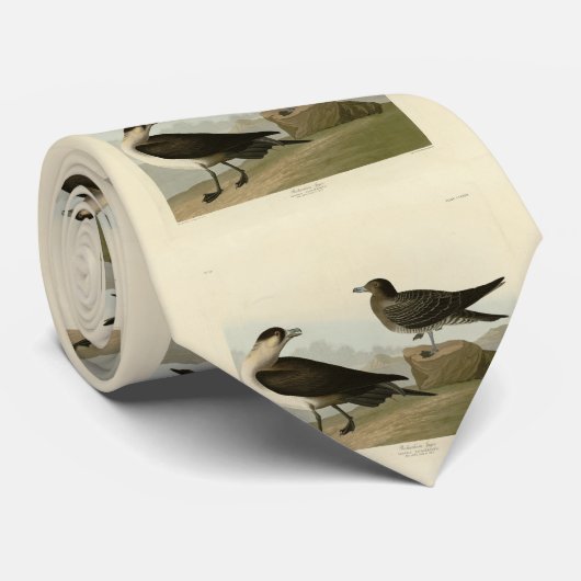 Richardson's Jager from Audubon's Birds of America ネクタイ (ロール)