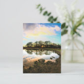 Richmond Park, London ポストカード (スタンド正面)