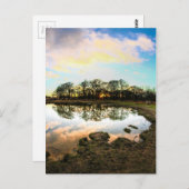 Richmond Park, London ポストカード (正面/裏面)