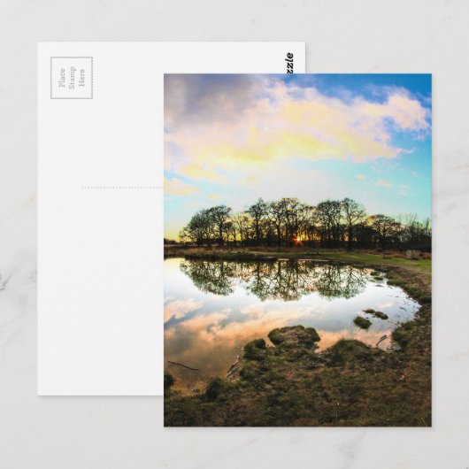 Richmond Park, London ポストカード (正面/裏面)