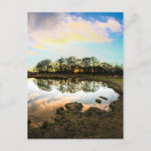 Richmond Park, London ポストカード (正面)