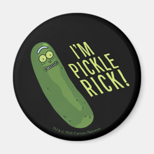 RICKとMORTY™ ピクルをフリップ マグネット