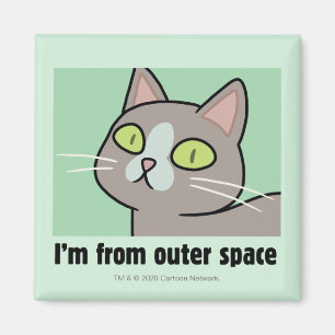 RICKとMORTY™ 私は宇宙から来ました マグネット