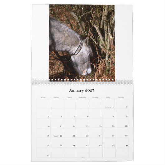 Ricks 2008任意写真C… カレンダー (1月 2027)