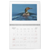 Rideauの水潜り鳥 カレンダー (3月 2027)