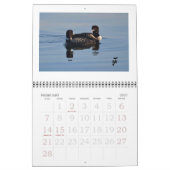 Rideauの水潜り鳥 カレンダー (2月 2027)