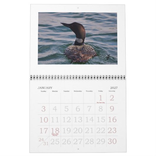 Rideauの水潜り鳥 カレンダー (1月 2027)