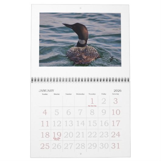 Rideauの水潜り鳥 カレンダー (1月 2026)