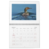 Rideauの水潜り鳥 カレンダー (3月 2026)